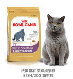 法国皇家 英短成猫粮BS34/2KG 猫主粮