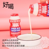 爱宠营养家 乳酸菌饮品 100ml*5瓶/排 0乳糖 犬猫通用